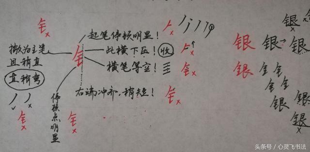 干货！收藏练字秘籍：精选50个最难写偏旁部首图解、技法、正误对照