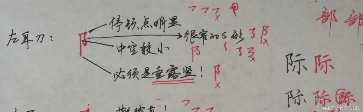 干货！收藏练字秘籍：精选50个最难写偏旁部首图解、技法、正误对照