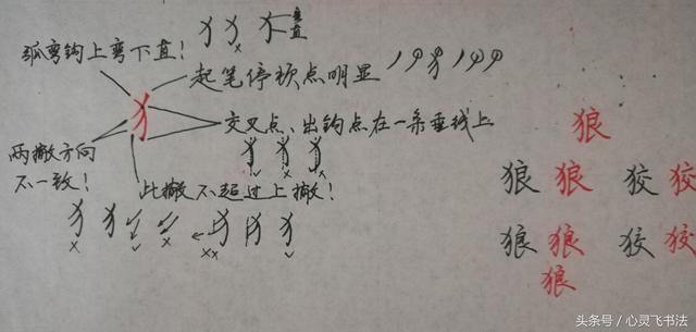 干货！收藏练字秘籍：精选50个最难写偏旁部首图解、技法、正误对照