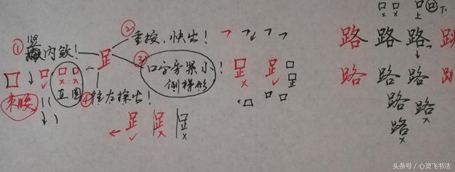 干货！收藏练字秘籍：精选50个最难写偏旁部首图解、技法、正误对照