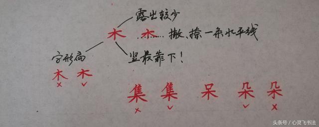 干货！收藏练字秘籍：精选50个最难写偏旁部首图解、技法、正误对照