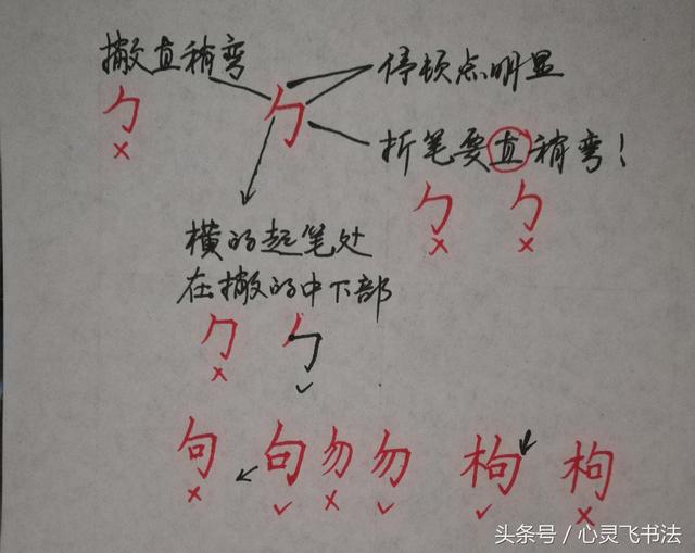 干货！收藏练字秘籍：精选50个最难写偏旁部首图解、技法、正误对照