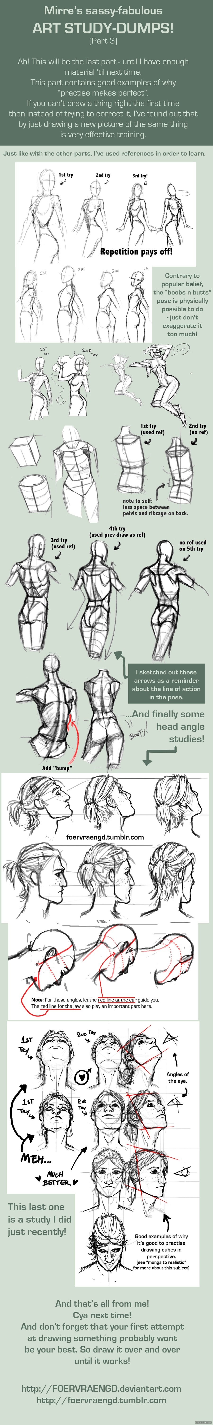 人体结构画法之肩部-胸腔-背部动作