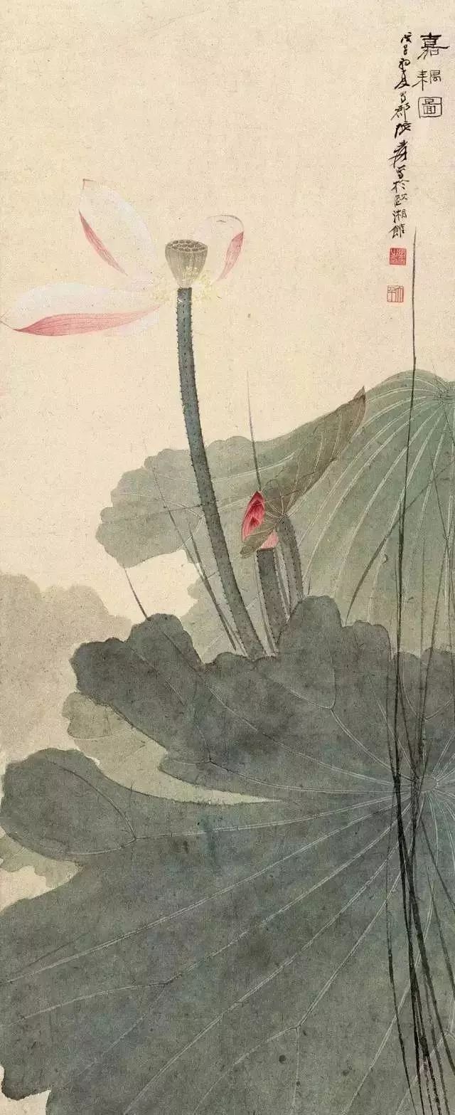 中国画绘画技法，没骨画教程