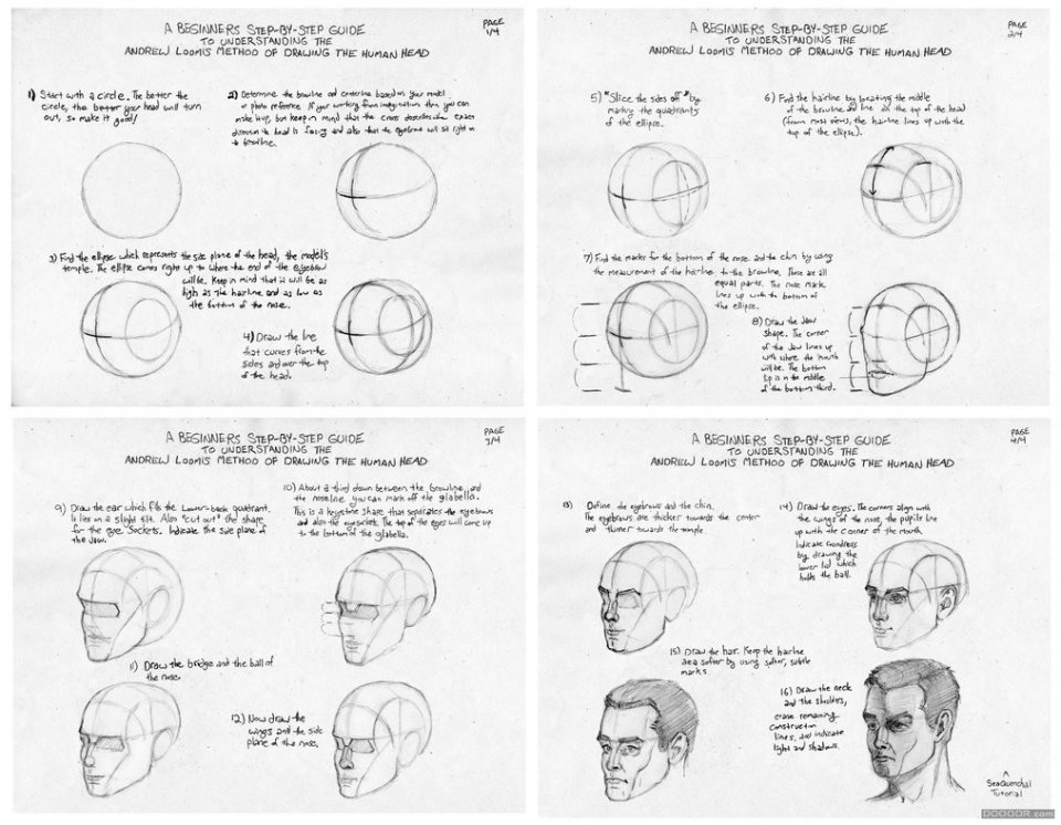 人体结构画法之头颅-头部动作