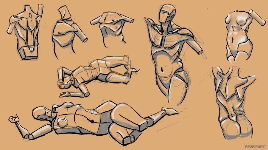 人体结构画法 之 躯干-肢体动作