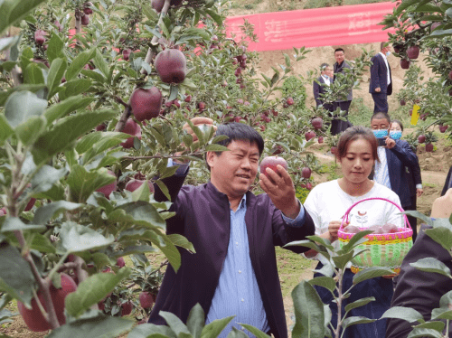 图片诗词鉴赏：腾飞万泉